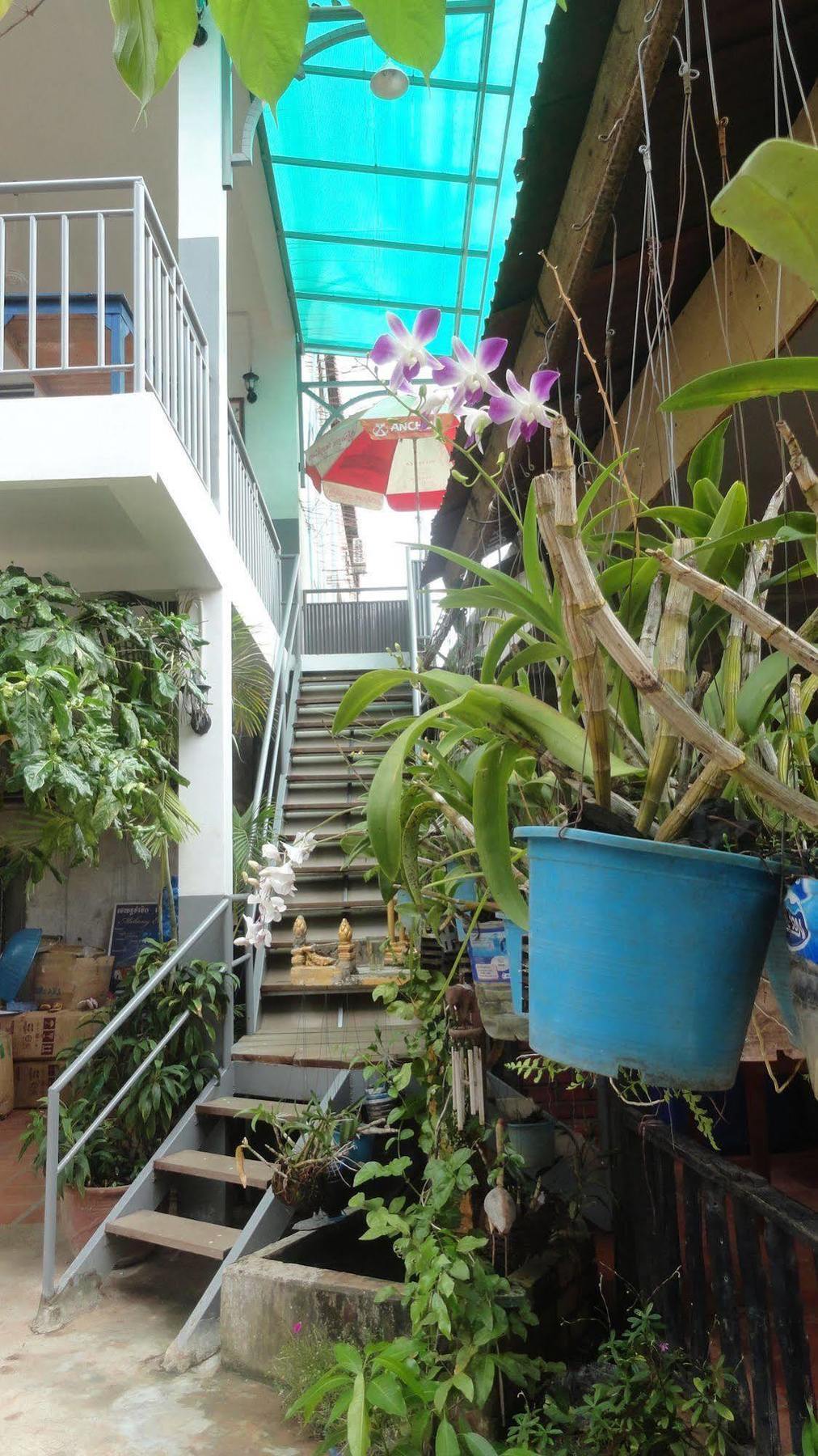 Green Park Village Guesthouse Сием Реап Екстериор снимка